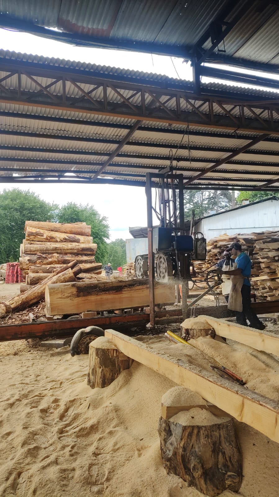 Hombres Aserrando un Tronco para hacer tablas para pallets